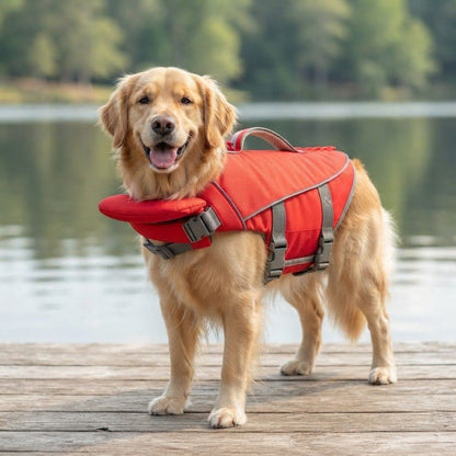 Pawfety FLoat Dog Life Jacket